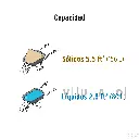 CAT-50X+D4.webp