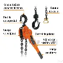 POPA-1-1-2+FC1.webp