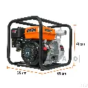 MOTB-2+FC3.webp